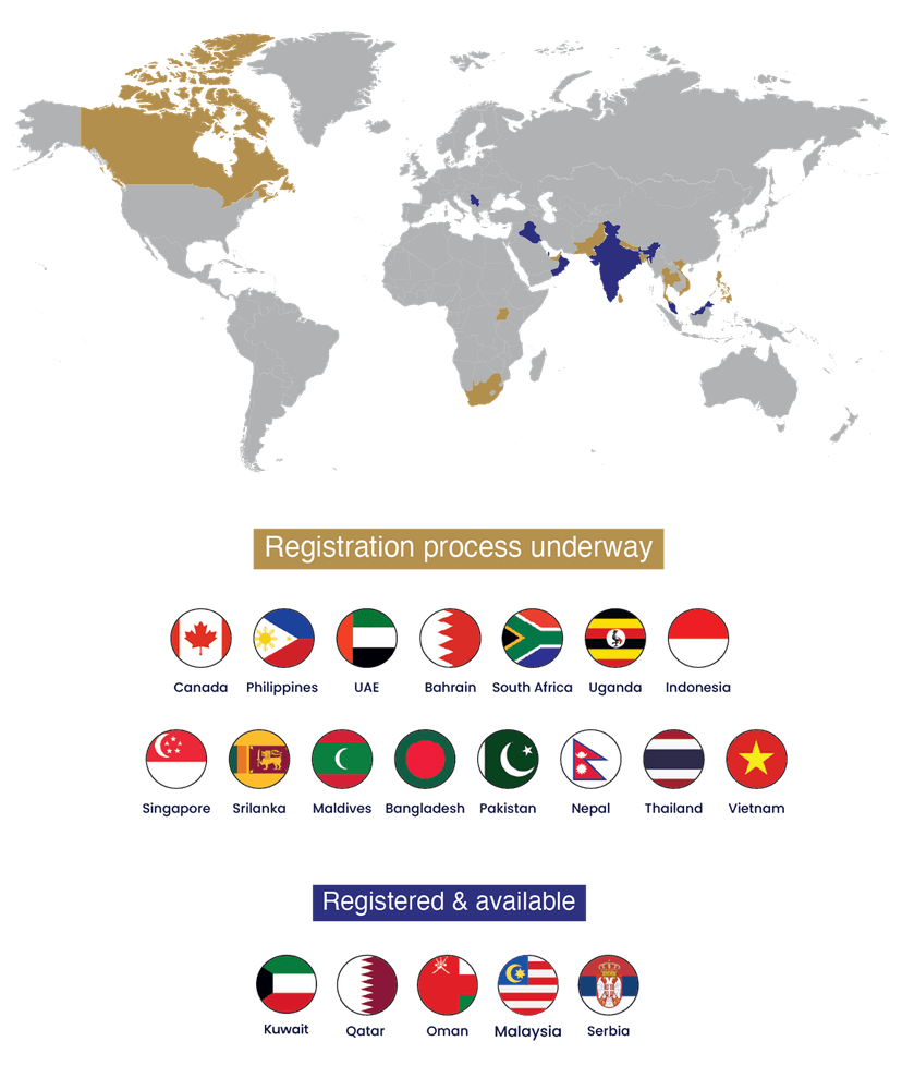 Global Map